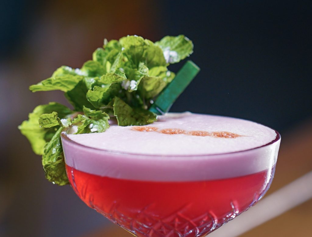 A photo of a red cocktail with garnish