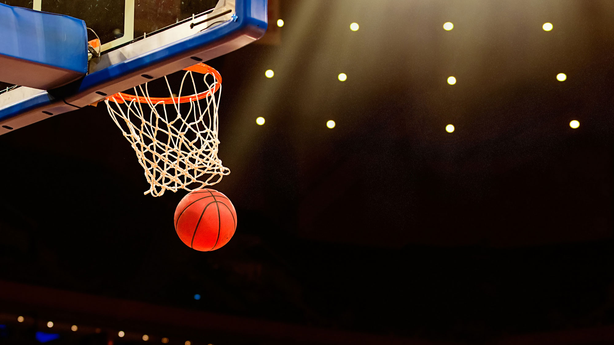 The Price of a Beer at Every NBA Stadium (2024) Overproof